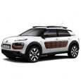 Аксессуары для Citroen C4 Cactus